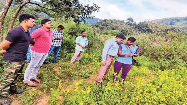 అడవి ప్రాంతంలో గంజాయి సాగు – డ్రోన్ సాయంతో ధ్వంసం