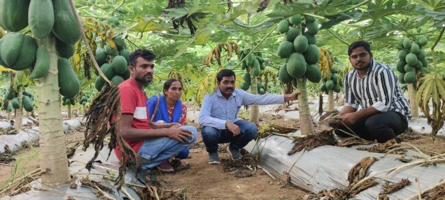 మేలైన యాజమాన్య పద్ధతులు పాటించి అధిక దిగుబడి సాదించవచ్చు….జినుగు మరియన్న